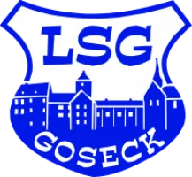 LSG Goseck AH