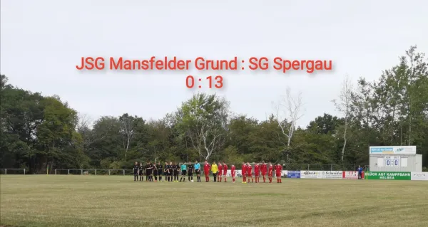 30.08.2020 JSG Mansfelder Grund vs. SG Spergau